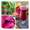 supplement wolfberry supplier jolly juice fruit drink powder